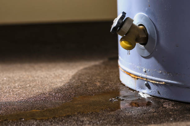 Best Basement water damage restoration  in Shark River Hills, NJ