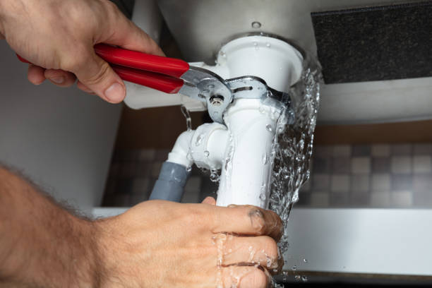 Best Flood damage cleanup  in Shark River Hills, NJ