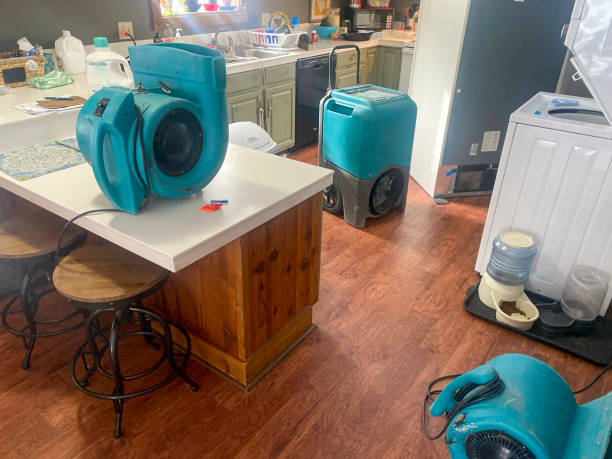 Best Flood damage cleanup  in Shark River Hills, NJ