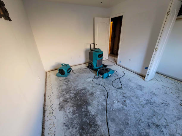 Best Professional water damage repair  in Shark River Hills, NJ