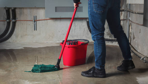 Best Water damage restoration near me  in Shark River Hills, NJ