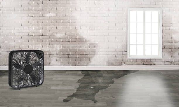 Water damage restoration experts in NJ