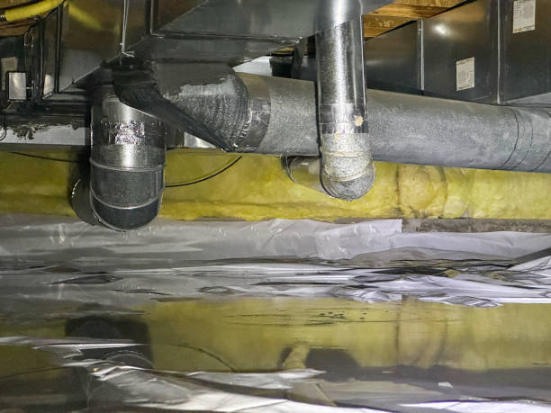 Best Local water damage restoration  in Shark River Hills, NJ